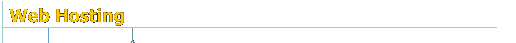 Web Hosting